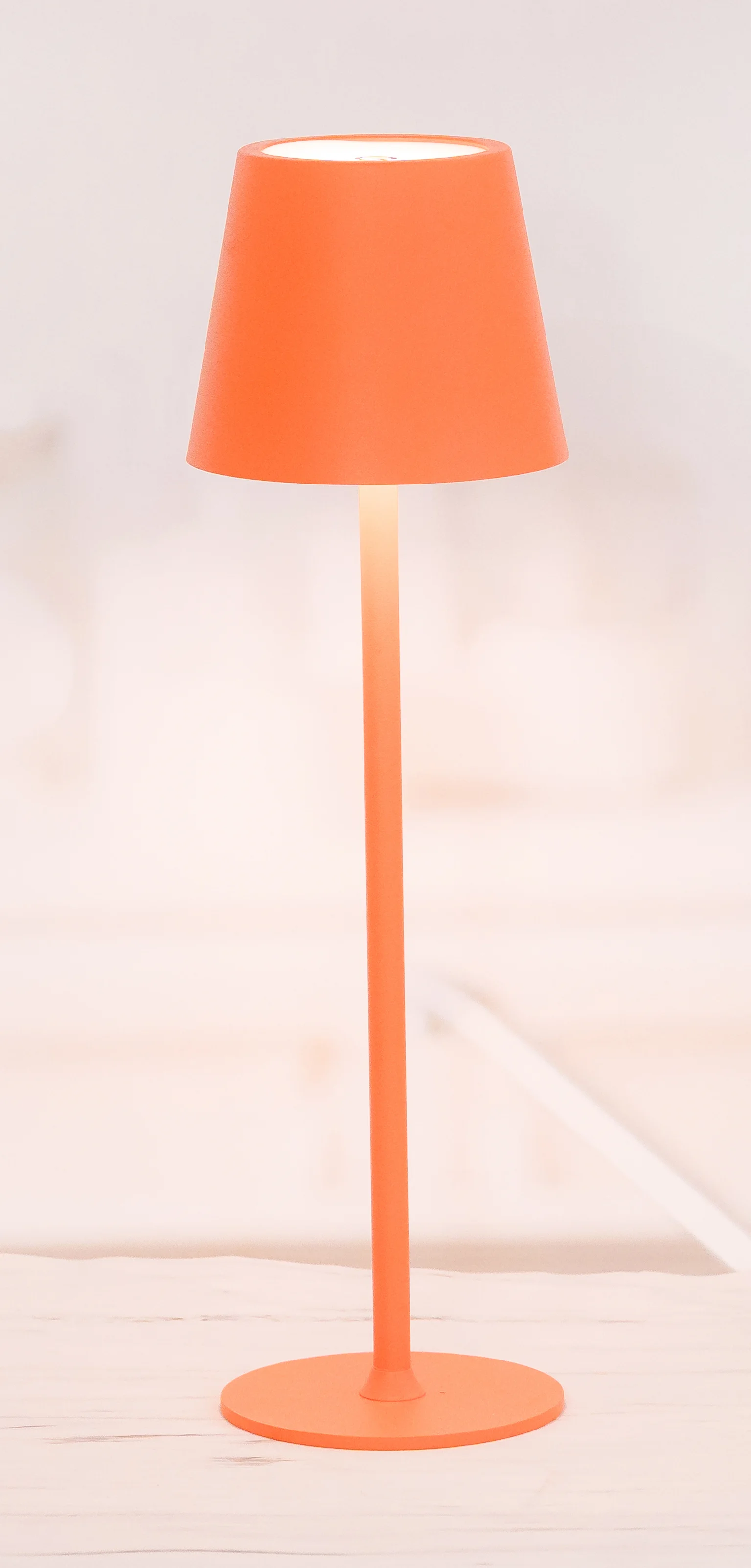Modern Minimalist Table Lamp